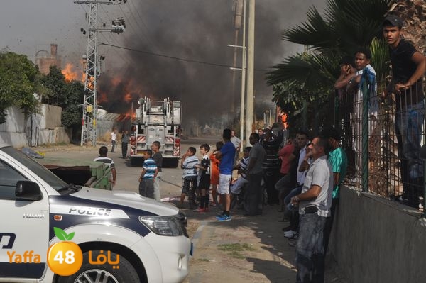 fireludkartoonmasna34 (44).JPG